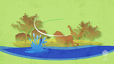 The Good Song (Psalm 34:10)