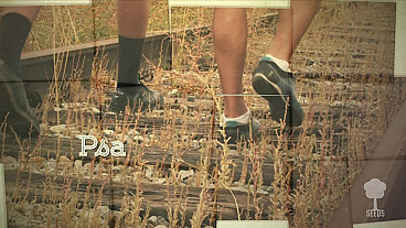 Walk In His Ways (Psalm 128:1)