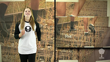 Walk In His Ways With Hand Motions (Psalm 128:1)