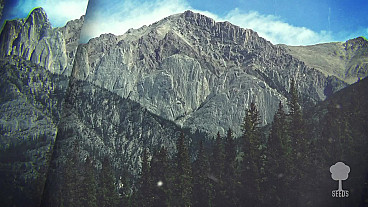 Sing Praise To Him (1 Chronicles 16:9-10)