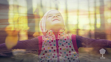 Trust in the Lord (Proverbs 3:5-6)