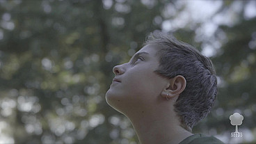 Children and Fathers (Ephesians 6:1-4)