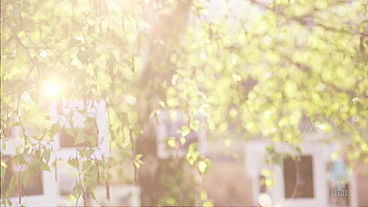 The Way Of Life (Proverbs 6:20-23)