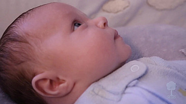 Lead Me To The Rock (Psalm 61:1-3)