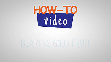 How To Bearing Good Fruit