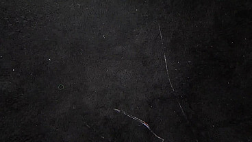 The Shield of Faith (Ephesians 6:16)