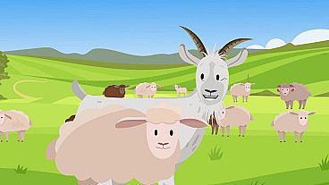 Sheep or Goats?