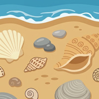 Seashells